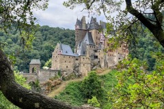 Burg-Eltz-Tree-View